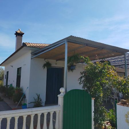 Alojamiento Rural La Perdiz La Puebla de los Infantes Eksteriør bilde