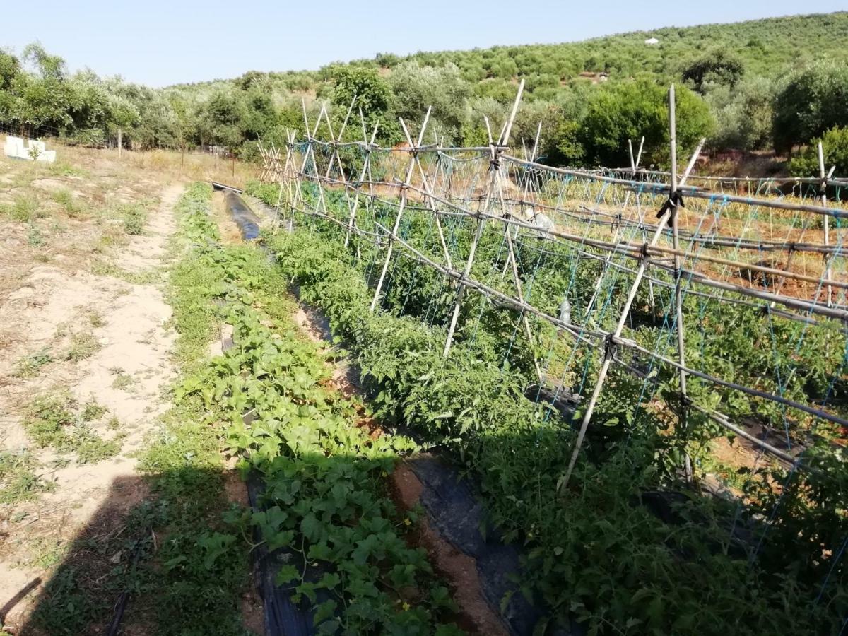 Alojamiento Rural La Perdiz La Puebla de los Infantes Eksteriør bilde