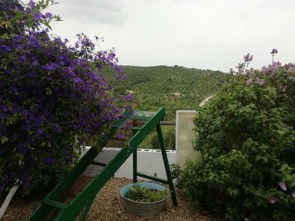 Alojamiento Rural La Perdiz La Puebla de los Infantes Eksteriør bilde